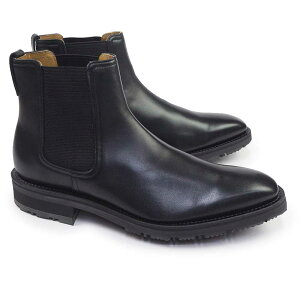 [K C Y 29CL DJWA TChSAu[c ᓹΉ\[ 2E RoV { 29CLCEW EE amC vC JWA I[\Cg REGAL 25H~V