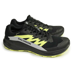 T SALOMON Y h y Xj[J[ At@ OCh GTX nCLO AEghA SAebNX [Jbg ALPHAGLIDE GORE-TEX