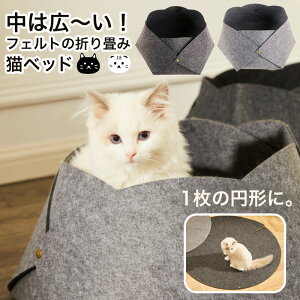 L xbg tFg Lxbg LnEX k tFg ˂  ܂肽  􂦂 v[g