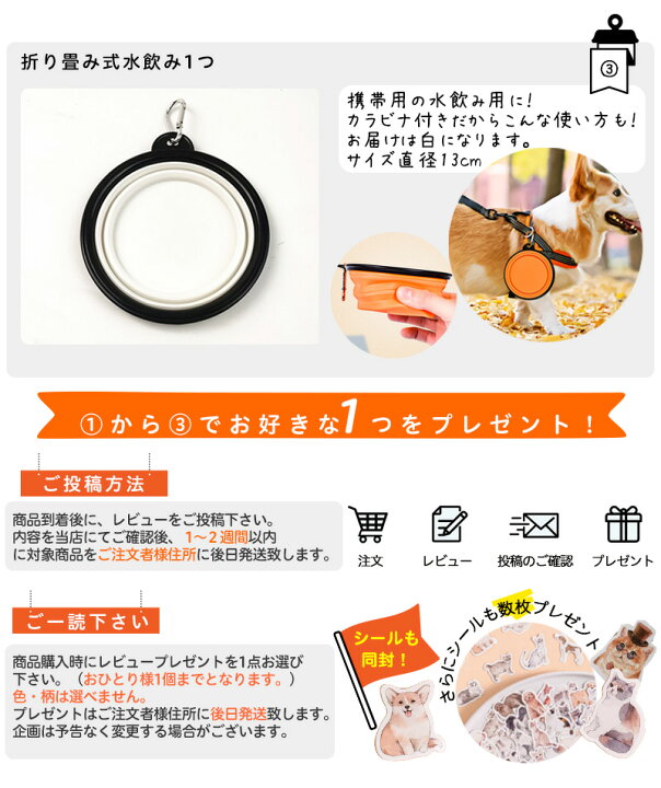 楽天市場】＼期間限定！全品対象クーポン＆ポイントUP!／ 犬 ハーネス 