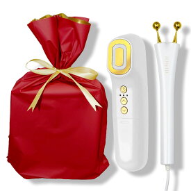 【Vポールセット】独自開発パルス BIST ビスト 美顔器 ジェティー エルフ ゴールド ems フェイスケア 首 頭皮 リフトアップ リフトケア スキンケア コードレス 電気 電池式 出力15段階 24K メッキ ヘッド部 防水仕様 家庭用 美容家電 ELF-MG01 JETty ELF セキュネット