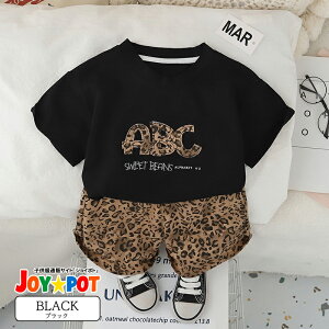 yyV1ʁr[TzLbY xr[ ZbgAbv ĕ TVc  qE ^ Aj} q ㉺Zbg JWA j̎q ̎q  t pc JWA WjA 낢 