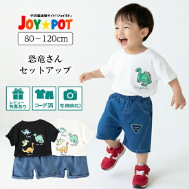 キッズ ベビー服 セットアップ 夏服 Tシャツ 半袖 恐竜柄 ダイナソー 子供服 上下セット カジュアル 男の子 女の子 夏 春 パンツ カジュアル ジュニア おそろい 洋服 80cm 90cm 100cm 110cm 120cm 1歳 2歳 3歳