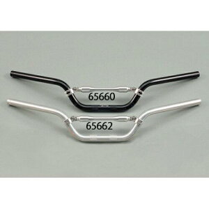 DAYTONA fCgi fCgi(DAYTONA) Cho[2(|bVdグ) Cho[2(MID)/ubN 65660