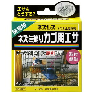 C{[i lYX lY~߂JSpGT 40g