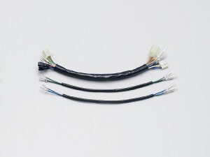 nP[@HD1069 n[lX ubN GCv50(`'07)_GCv100(`'08)