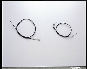 ���P�ԗp�i�H�� �n���P�[���@HB6552M �����O �X���b�g���P�[�u�� �X�e�����X���b�V�� �o���o��200(�`'07:NH41A)