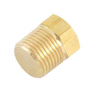 SK11(GXP[11) SK11EZpvO4MEHP-10040860