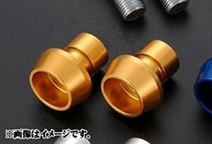 �X���쏊 JT-107G-GD �t�b�N�{���g6�S�[���h (R-1)