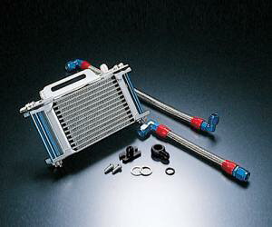 ANeBu(ACTIVE) ACTIVE/14055551 OILN[[Xe[SET Xg[g 4.5-13R GOOSE250/350@Xe[̂