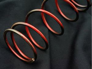 DAYTONA fCgi 74060 PAZ^[XvO VOiXX 10%