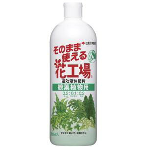 ZFw| ̂܂܎gԍH ϗtAp 700ml