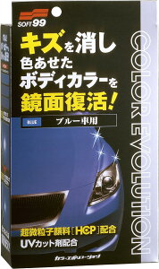 y݌Ɍ[z\tg99R[|[V bNX J[G{[V COLOR EVOLUTION u[ 100ml(00504)