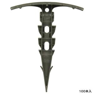 ZteB[3 ZteB-3@}` 100P 1
