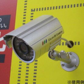 【在庫限即納】OHM オーム電機 防犯ダミーカメラ DM-11