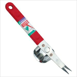 ΍ GH SF-1 XeX vtH[N@SF-1