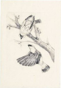 ARTEC �}�b�gPP�� ��(360x240x0.5m 20501