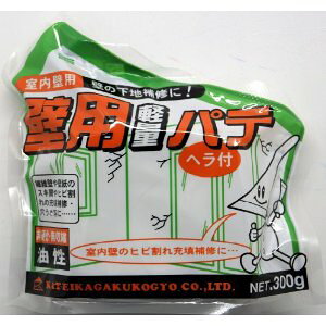 ƒ뉻w Ǘpyʃpe 300G 4885300