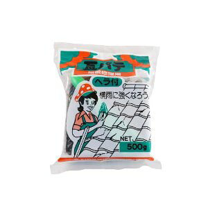�ƒ뉻�w ���p�e �� �J�e�C�J�J�N 500G �w���c�L 10684700