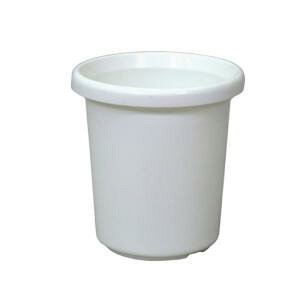 AbvEFA[ Abv F^ 4 zCg