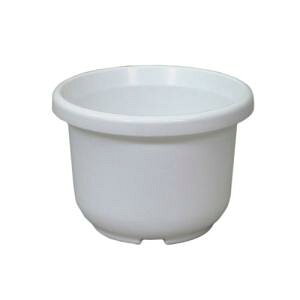 AbvEFA[ Abv ֔F^ 4 zCg