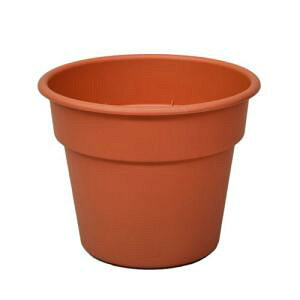 AbvEGA[ Abv AP|bg16 eRb^