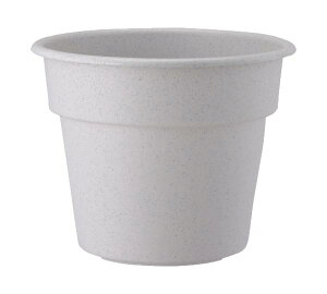 AbvEFA[ Abv AP|bg12 ~JQ