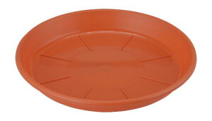 AbvEFA[ Abv MAPiMj 13 eRb^