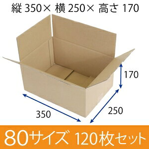 y݌Ɍ[z pi{[ 80TCY (350×250×170mm) 3mmy120Zbgz@NtgF@n zp_{[ [ y:120z