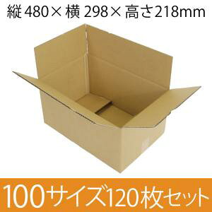 y݌Ɍ[z pi{[ 100TCY (480×298×218mm) 4mmy120Zbgz @NtgF@zp_{[ n [ y:120z