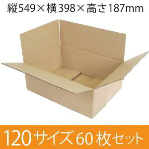 y݌Ɍ[z pi{[ 120TCY (549×398×187mm) 5mm y60Zbgz@NtgF@zp_{[ n [ y:60z