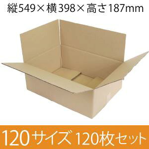 y݌Ɍ[z pi{[ 120TCY (549×398×187mm) 5mm y120Zbgz@NtgF@zp_{[ n [ y:120z