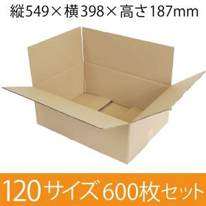 y݌Ɍ[z pi{[ 120TCY (549×398×187mm) 5mm y600Zbgz@zp_{[ n [ y:600z