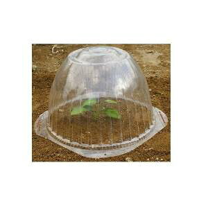 rj[ DAIM cJo[ ch[  5Zbg a35cm×24cm hAhAۉ^b`ŏo