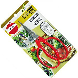 ѐ zH K-21 XeXԂǂ 175mm BP@K-21