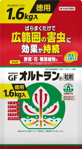 ZFw| ƒ뉀|pGFIg 1.6kg