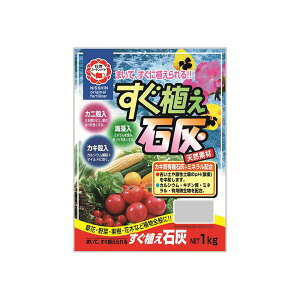 COMOLIFE RCt K[fCg AΊD 1kg ×6 (2451au)