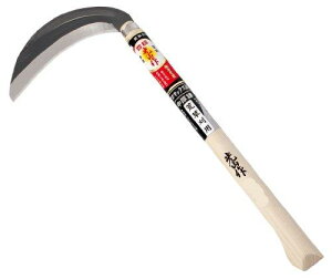 L L RN}bNX|Аn HTS5061