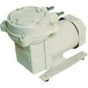 AobN@H/ULVAC hC^|v(p_CAt^) 33.3kPa DAP-30NCG0391011-671-21