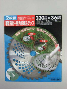 キンボシ GS 斜埋込チップソー230mm36枚刃2枚組 210428