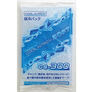 AXe[W ASTAGE N[CpbN\tg CS-300