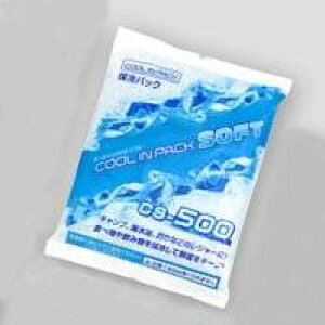 AXe[W ASTAGE N[CpbN\tg CS-500