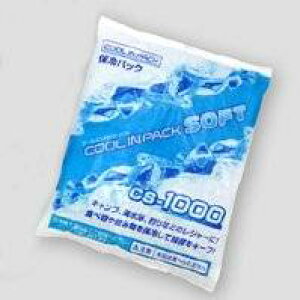 AXe[W ASTAGE N[CpbN\tg CS-1000