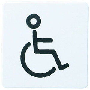 VN} `[NTC Ԉ֎q  NP-21-4