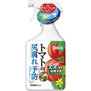 ZFw| g}g̐K\hXv[ 950ml