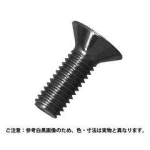 �R�m�G �M�����˂� �S �O��W5x30 ����45