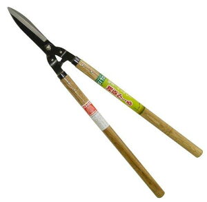 OR[|[V A229 SITAA[!NN!Ub\EJ[