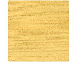 nCWbN \DpAN100mmp×2mm JnV[g\