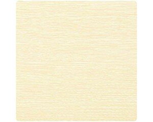 nCWbN \DpAN200mmp×2mmzCgI[NV[g\