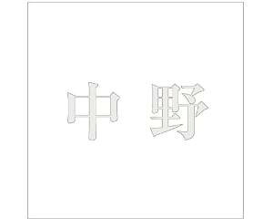  LW SVbN p[O[ 160×160~p 